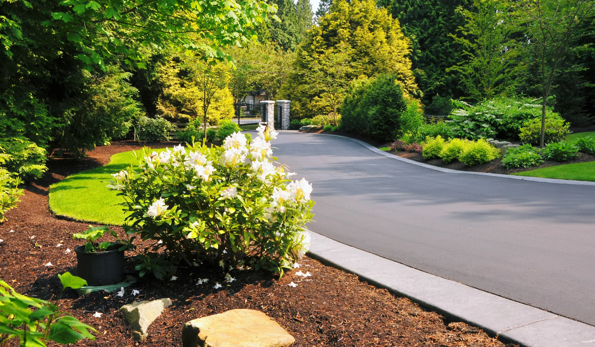 Landscaping industry expertise